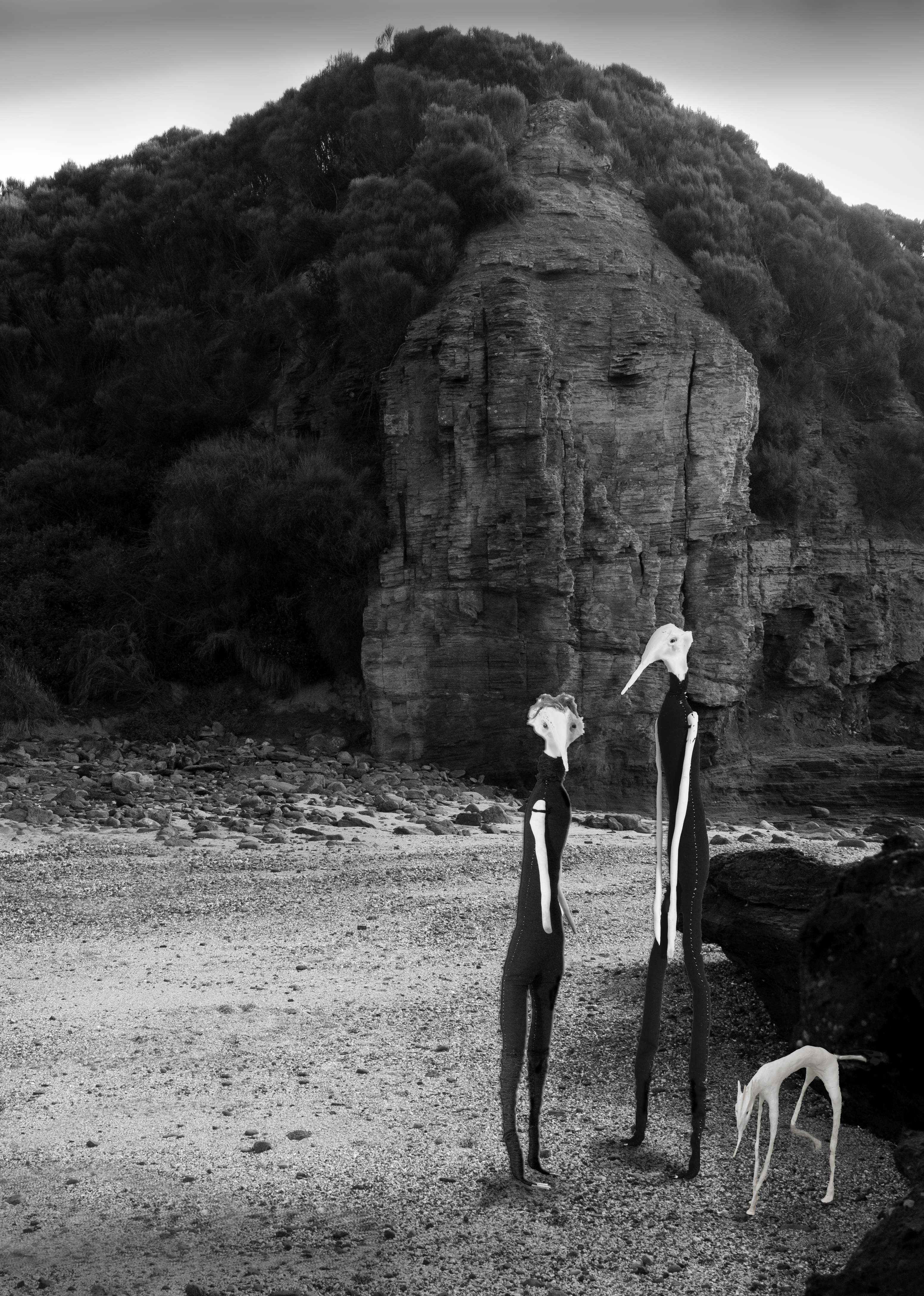 Headland Digital Print